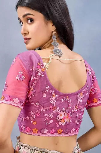 Rani color net resham embroidered & handwork zircon work saree