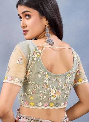 Pista color net resham embroidered & handwork zircon work saree 5