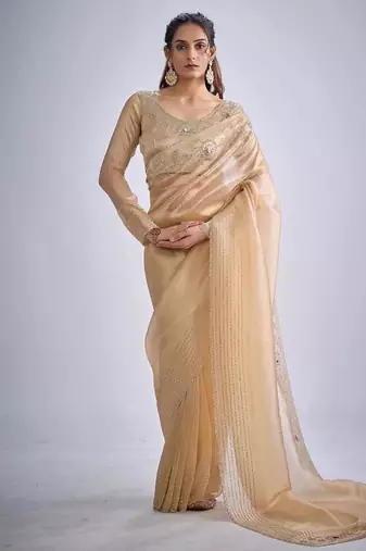 Chiku color kanjivaram pure silk zircon cutdana & sequence handwork saree