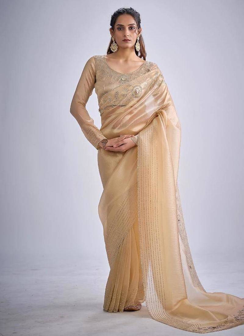 Chiku color kanjivaram pure silk zircon cutdana & sequence handwork saree