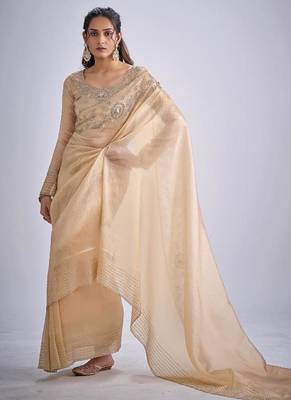 Chiku kanjivaram pure silk blend zircon cutdana & sequence handwork saree 2