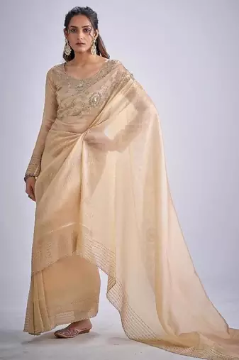Chiku color kanjivaram pure silk blend zircon cutdana & sequence handwork saree