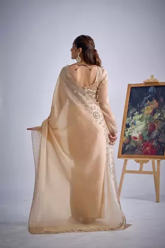 Chiku color kanjivaram pure silk blend zircon cutdana & sequence handwork saree