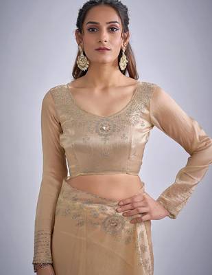 Chiku kanjivaram pure silk blend zircon cutdana & sequence handwork saree 4