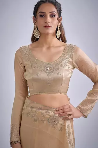 Chiku color kanjivaram pure silk blend zircon cutdana & sequence handwork saree