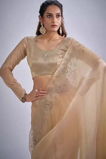 Chiku color kanjivaram pure silk blend zircon cutdana & sequence handwork saree