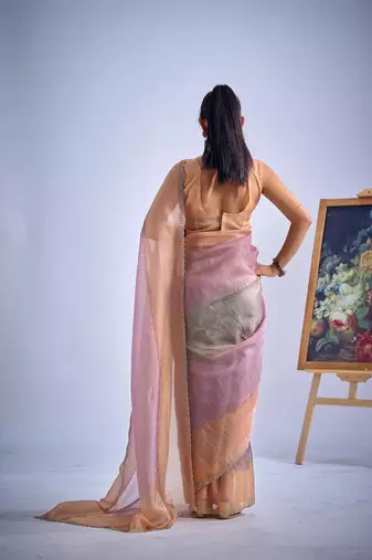Multicolor pure silk blend beads & zircon work saree with fancy blouse