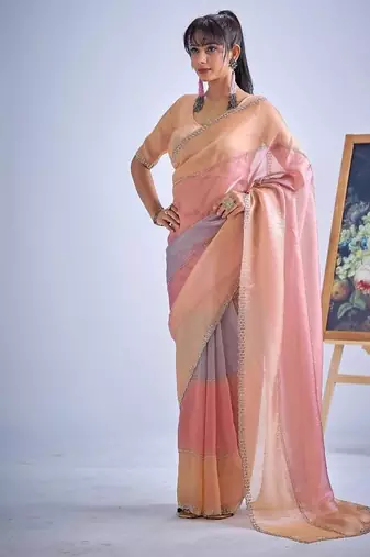 Multicolor pure silk beads & zircon work saree with fancy blouse