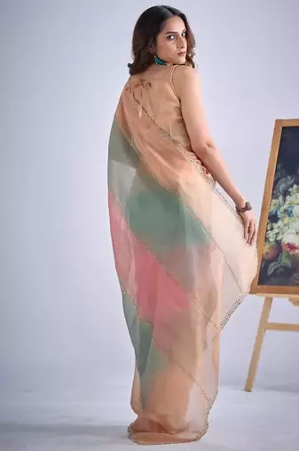 Multicolor pure silk beads & zircon work saree with fancy blouse