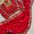 Red georgette embroidered saree