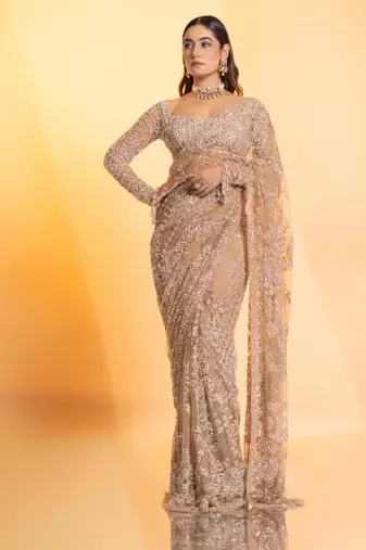 Cream net embroidered saree