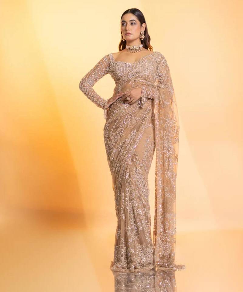 Cream net embroidered saree