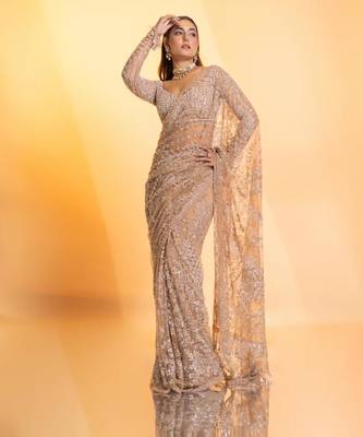 Cream net embroidered saree 2