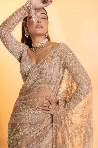 Cream net embroidered saree