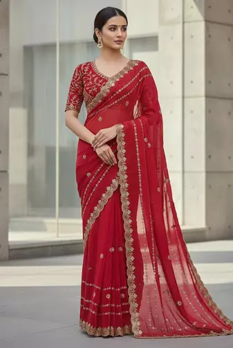 Red Color  jari Dori Thread Embroidery Work  Velvet Saree