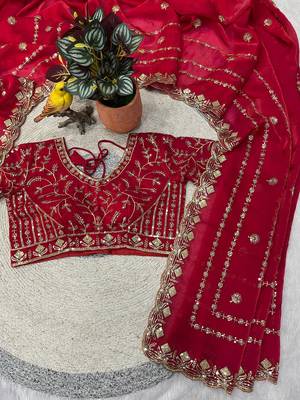 Red Color  jari Dori Thread Embroidery Work  Velvet Saree 4