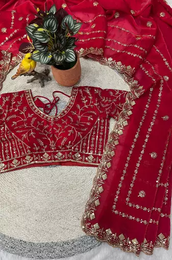 Red Color  jari Dori Thread Embroidery Work  Velvet Saree