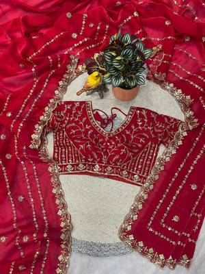 Red Color  jari Dori Thread Embroidery Work  Velvet Saree 5