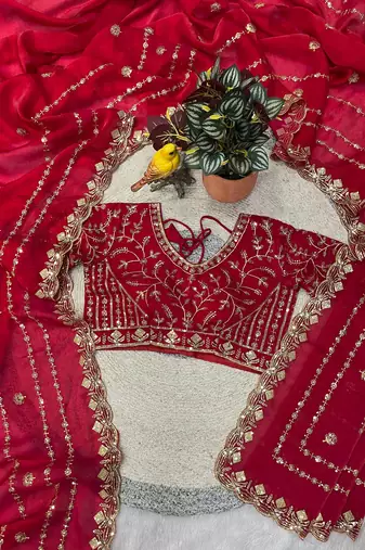 Red Color  jari Dori Thread Embroidery Work  Velvet Saree