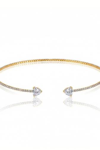 The amour collar choker