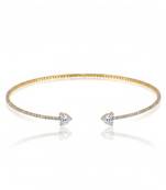 The amour collar choker