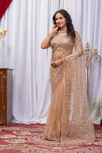 Chiku Color Sequins And Embroidery with Beads Work Butterfly Net