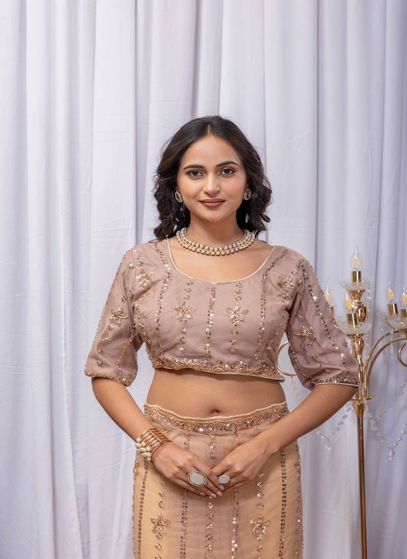 Golden Color Sequins And Embroidery with Beads Work Butterfly Net