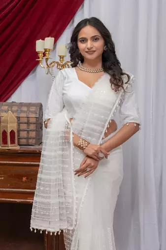 White Color Sequins And Embroidery with Beads Work Butterfly Net