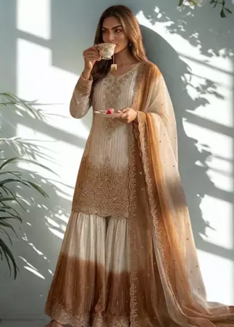 White/Brown Heavy Dual Tone Star Georgette With Embroidery Thread Work 3pc