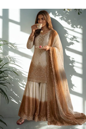 White/Brown Heavy Dual Tone Star Georgette With Embroidery Thread Work 3pc 3