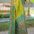 Lime green floral, temple border, zari work kanji gadwal silk saree with blouse
