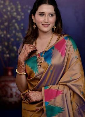 Brown temple border, zari work soft silk saree with blouse 2