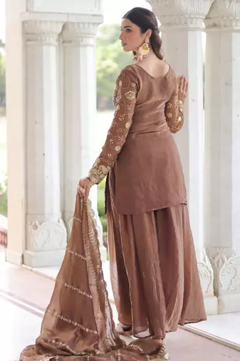 Brown floral embroidered salwar kameez