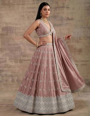 Light-Pink Designer Premium Function Wear Lehenga Choli 3