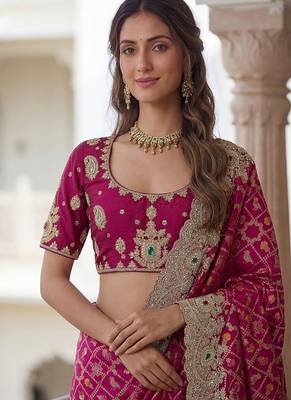 Rani Pink Color Embroidered Lace,Dori,Multi Thread And Zari With Sequins And Zircon Diamond Work Banarasi Silk Saree 1
