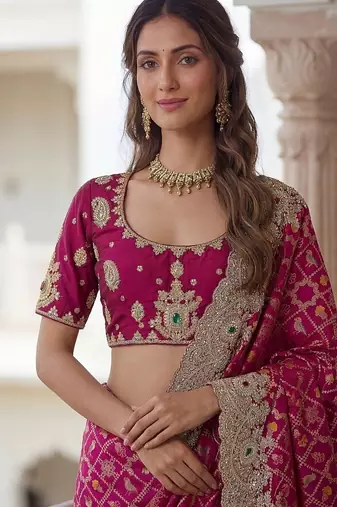 Rani Pink Color Embroidered Lace,Dori,Multi Thread And Zari With Sequins And Zircon Diamond Work Banarasi Silk Saree