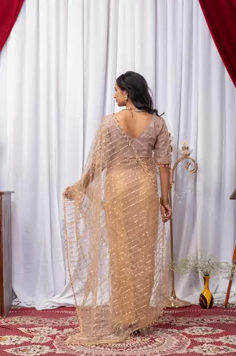 Beige Color Sequins And Embroidery with Beads Work Butterfly Net