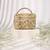 Abia pastel georgette embellished vanity bag