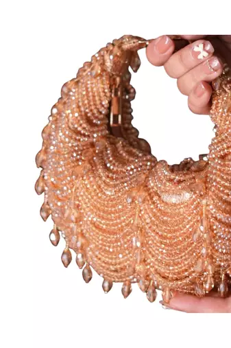 Liona gold georgette embellished hobo bag