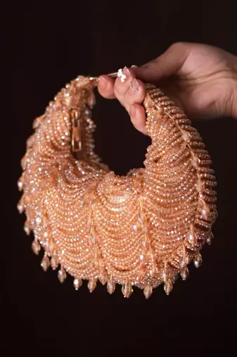 Liona gold georgette embellished hobo bag