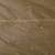 Brown sequin-detail plain saree with beige pallu