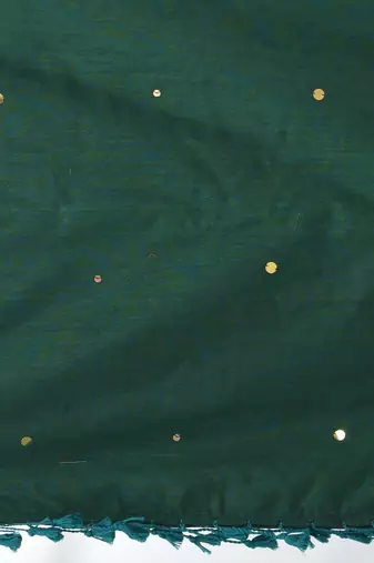 Teal sequin-detail plain saree with green pallu