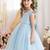 Blue solid net fit & flare party dress for girls