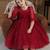 Red pearl embellished net fit & flare party dress for girls