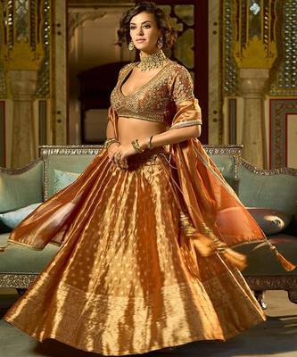 Ready to Wear Embroidered V Neck Flared Lehenga  & Blouse With Dupatta 3