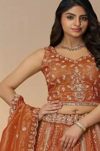 Embroidered Organza Semi Stitched Lehenga & Unstitched Blouse With Dupatta