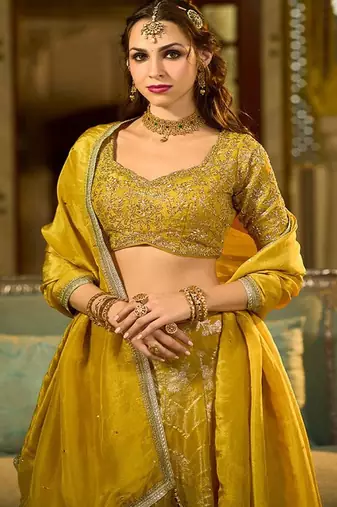 Ready to Wear Embroidered V Neck Flared Lehenga  & Blouse With Dupatta