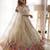 Embroidered Sequinned Semi Stitched Lehenga & Unstitched Blouse With Dupatta