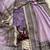 Lavender net embroidered saree