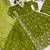 mehendi green plus size crunchy silk embroidered suit 